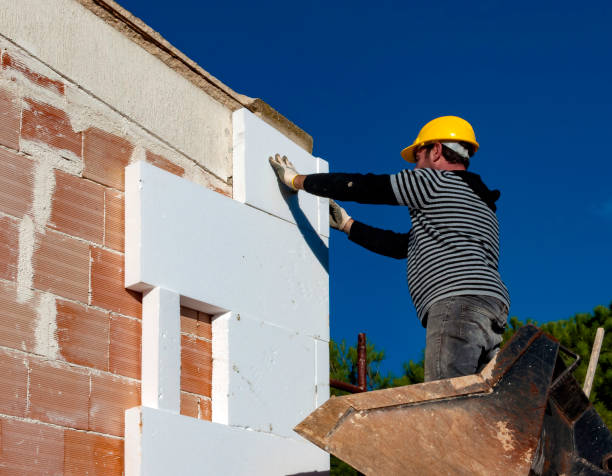 Best Insulation Maintenance and Repair in Carrizo Hill, TX