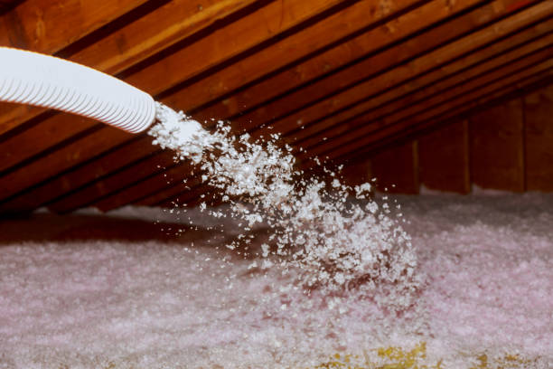 Reliable Carrizo Hill, TX Insulation Contractor Solutions