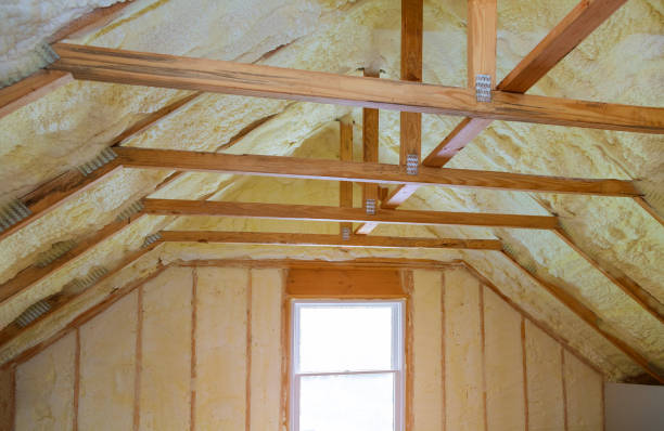 Best Spray Foam Insulation in Carrizo Hill, TX