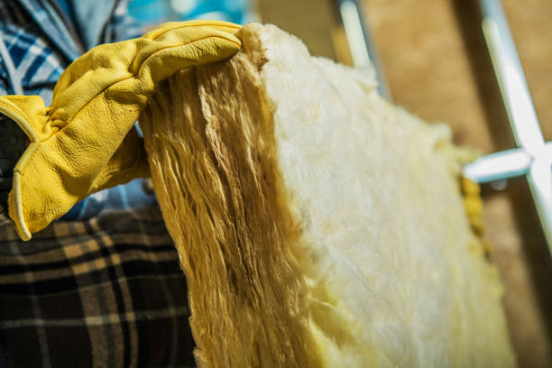 Best Cellulose Insulation in Carrizo Hill, TX